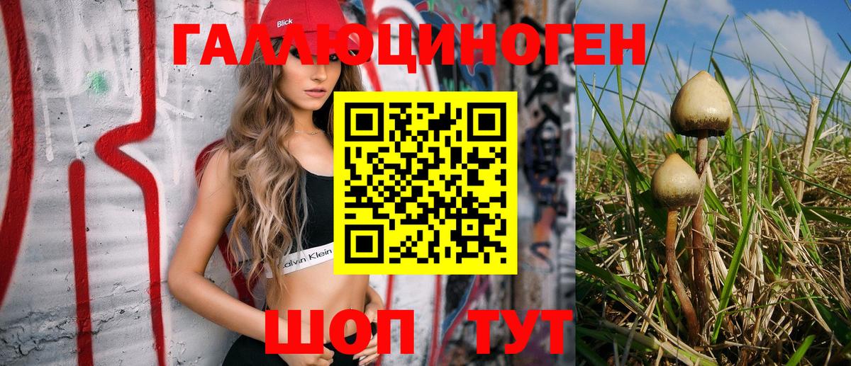 Псилоцибиновые грибы MAGIC MUSHROOMS  Вход с VPN  Крымск 